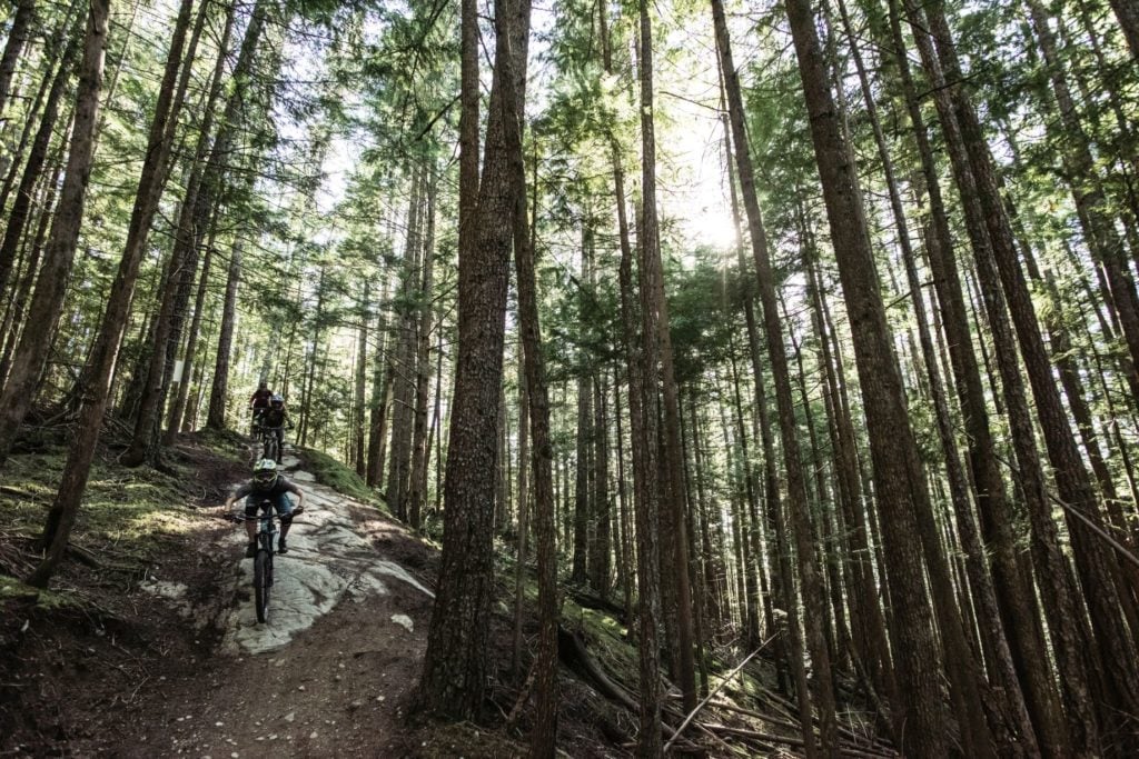 A mountain biker descends along a dirt path through the trees.