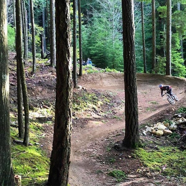 Un ciclista de montaña baja por un sendero de tierra curvo entre los árboles