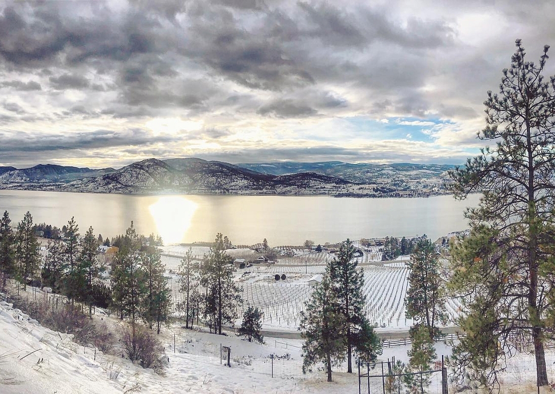 A frozen landscape with a lake and mountains in the distance, Naramata in wintertime
