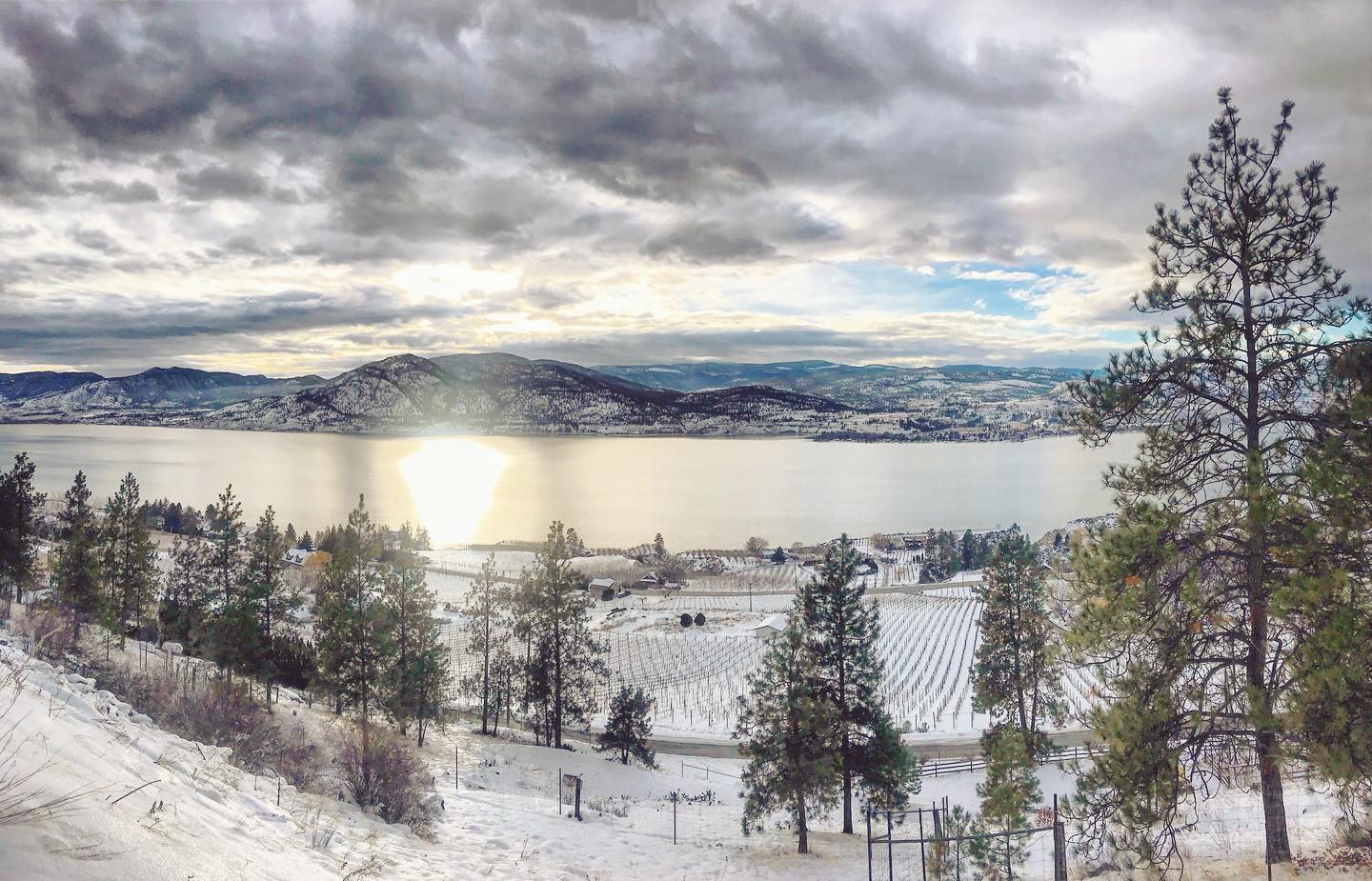 A frozen landscape with a lake and mountains in the distance, Naramata in wintertime