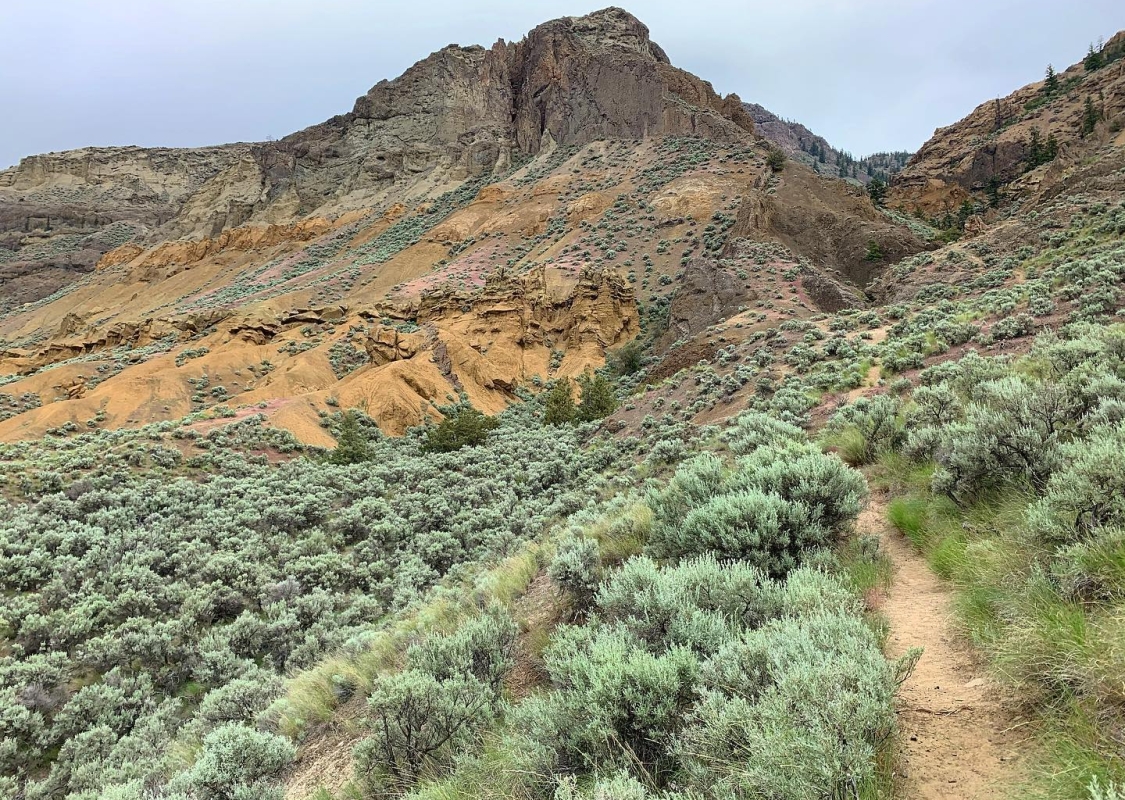 The desert colours of Lac du Bois Grasslands Protected Area.
