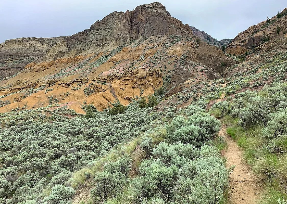 The desert colours of Lac du Bois Grasslands Protected Area.