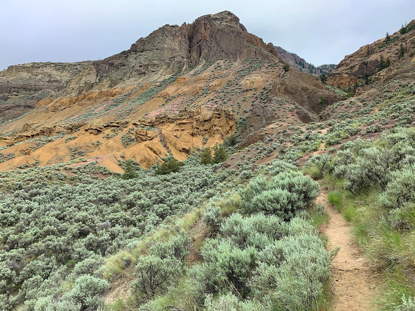 The desert colours of Lac du Bois Grasslands Protected Area.