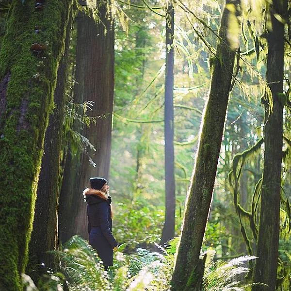 Exploring the rainforests on the Sunshine Coast