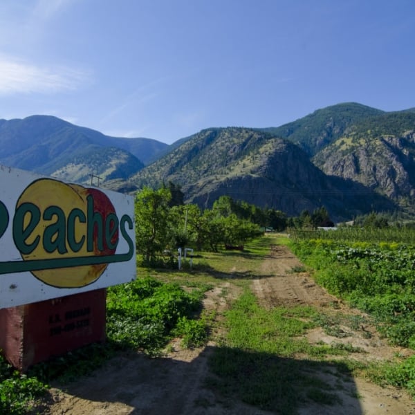 Orchards in Keremeos.