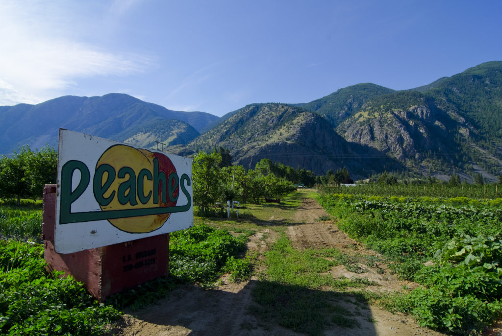 Orchards in Keremeos.