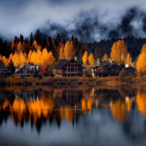 Golden trees dot the shoreline with three houses on a lake