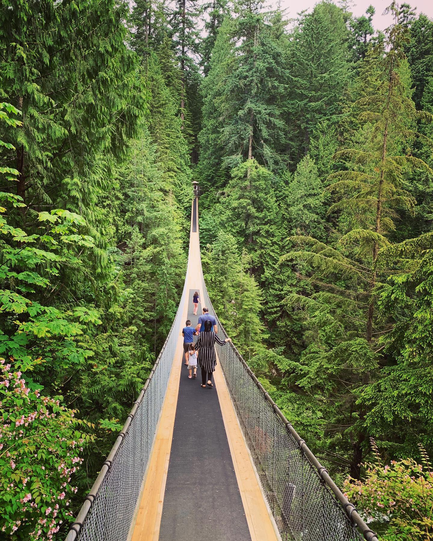 Capilano Suspension Bridge Park