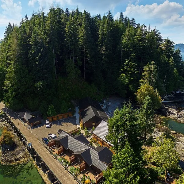 Aerial view of a few buildings tucked in among tall evergreen trees on a piece of land that stretches into the ocean