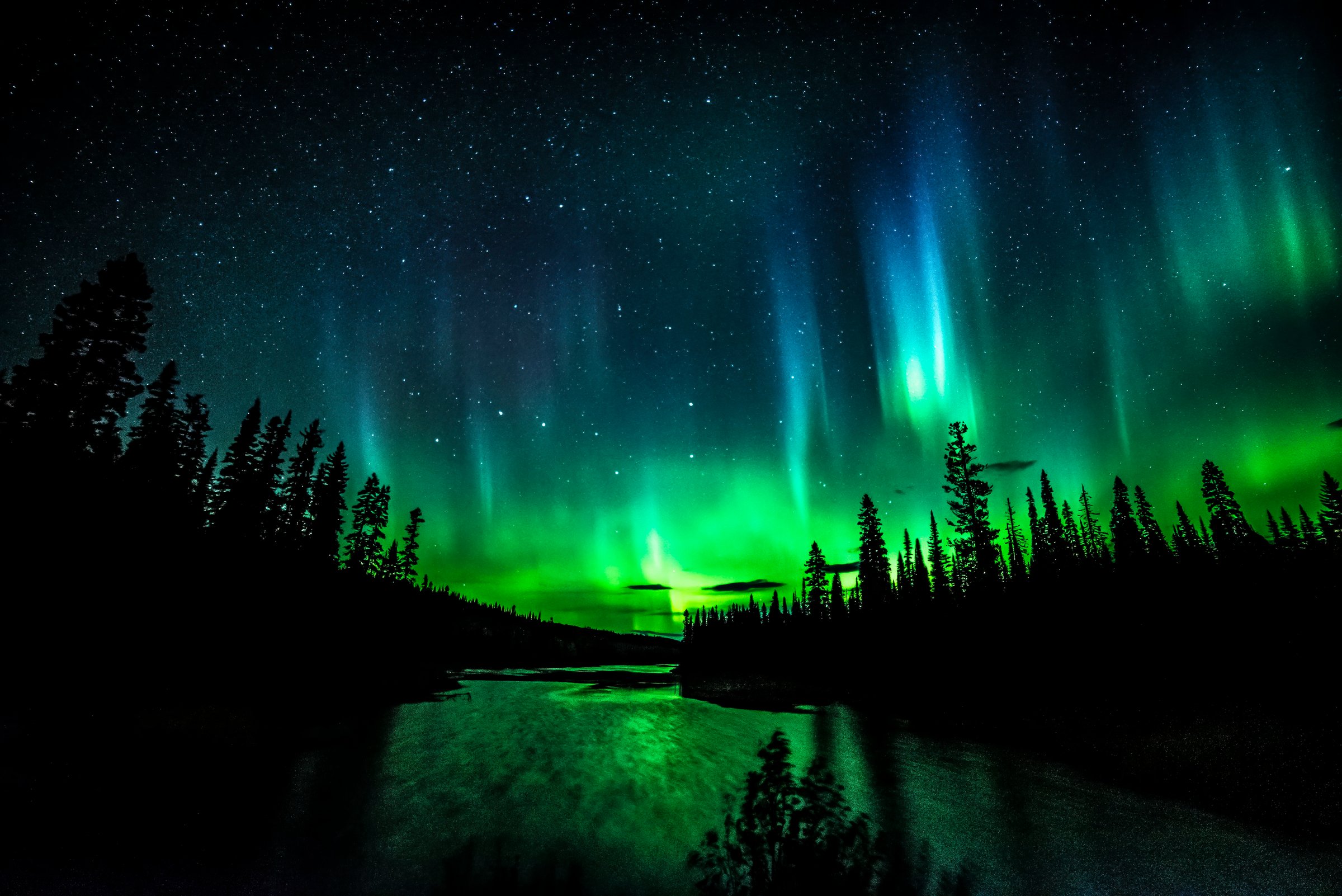 The vibrant green Northern Lights sparkles above a silhouette of a river and forest.
