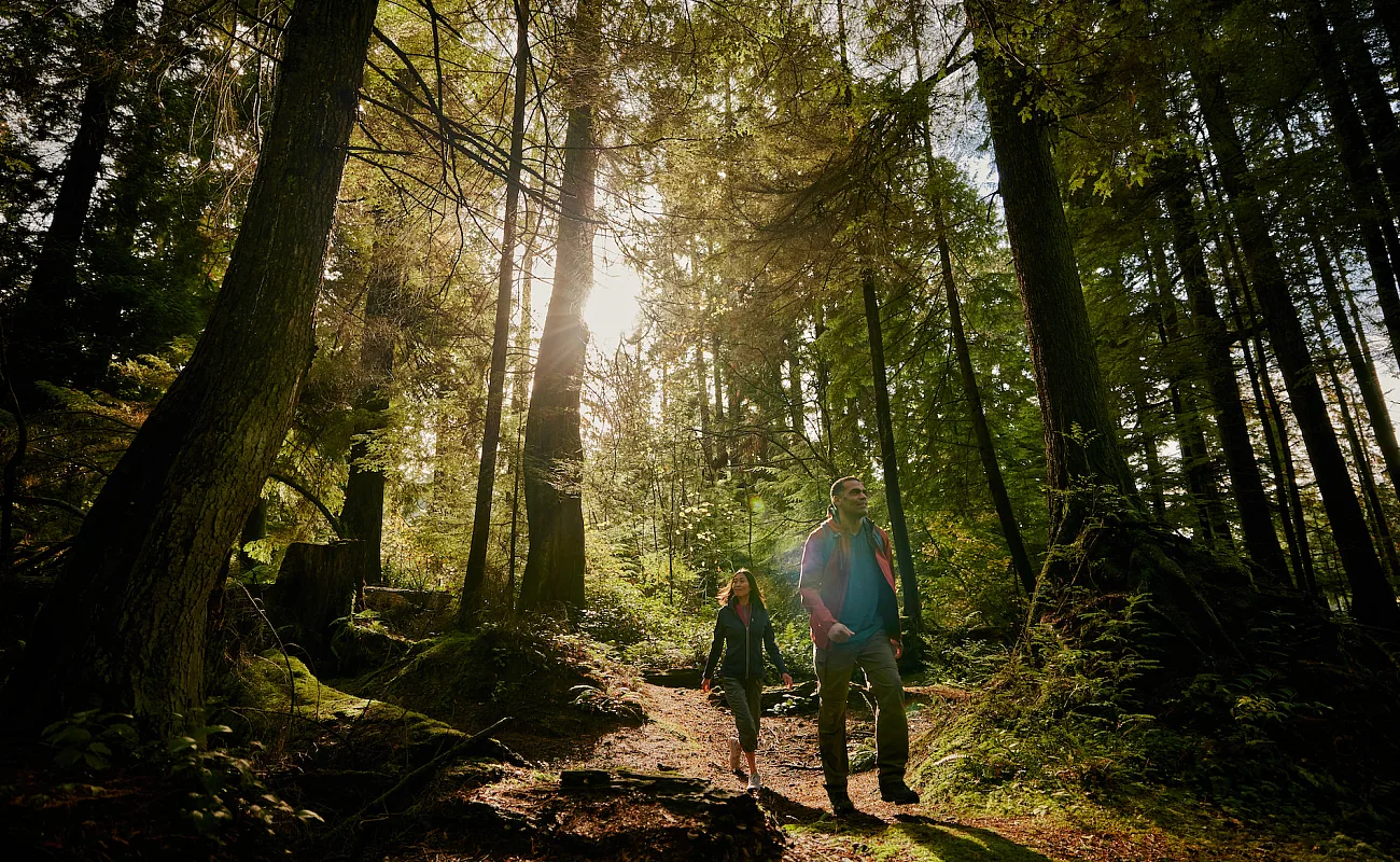 Leute spazieren im Wald