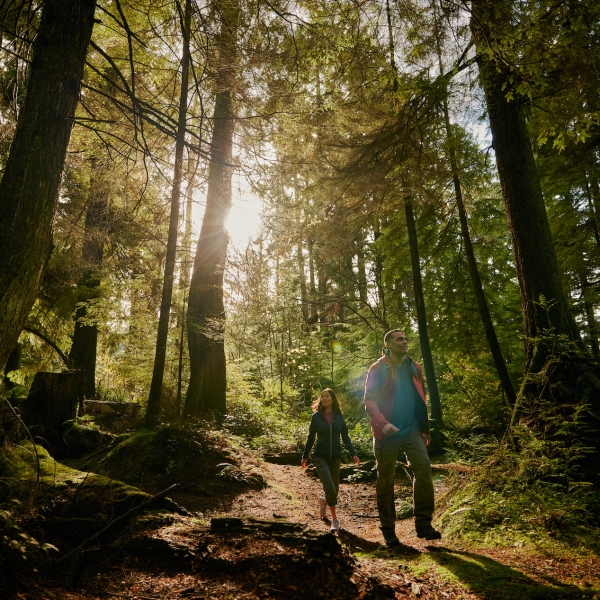People walking in the woods