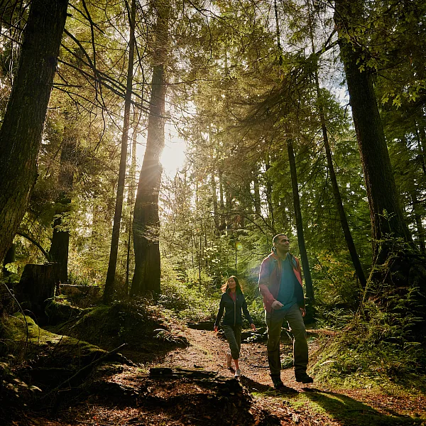 Gente caminando en el bosque