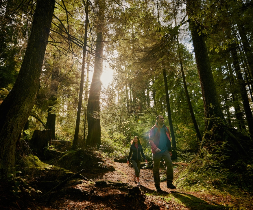 People walking in the woods