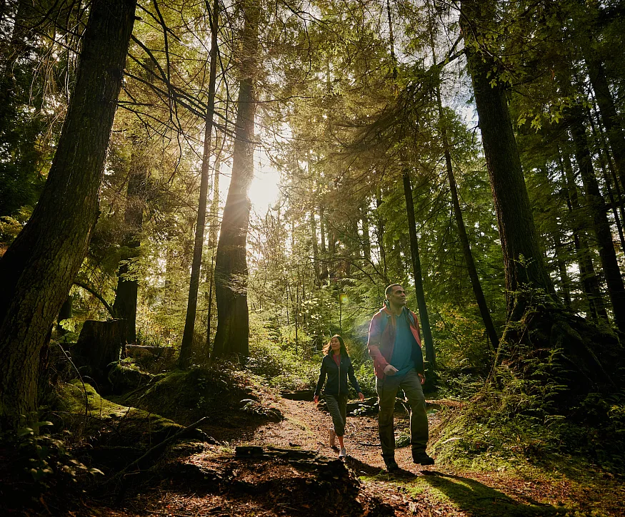 Gente caminando en el bosque