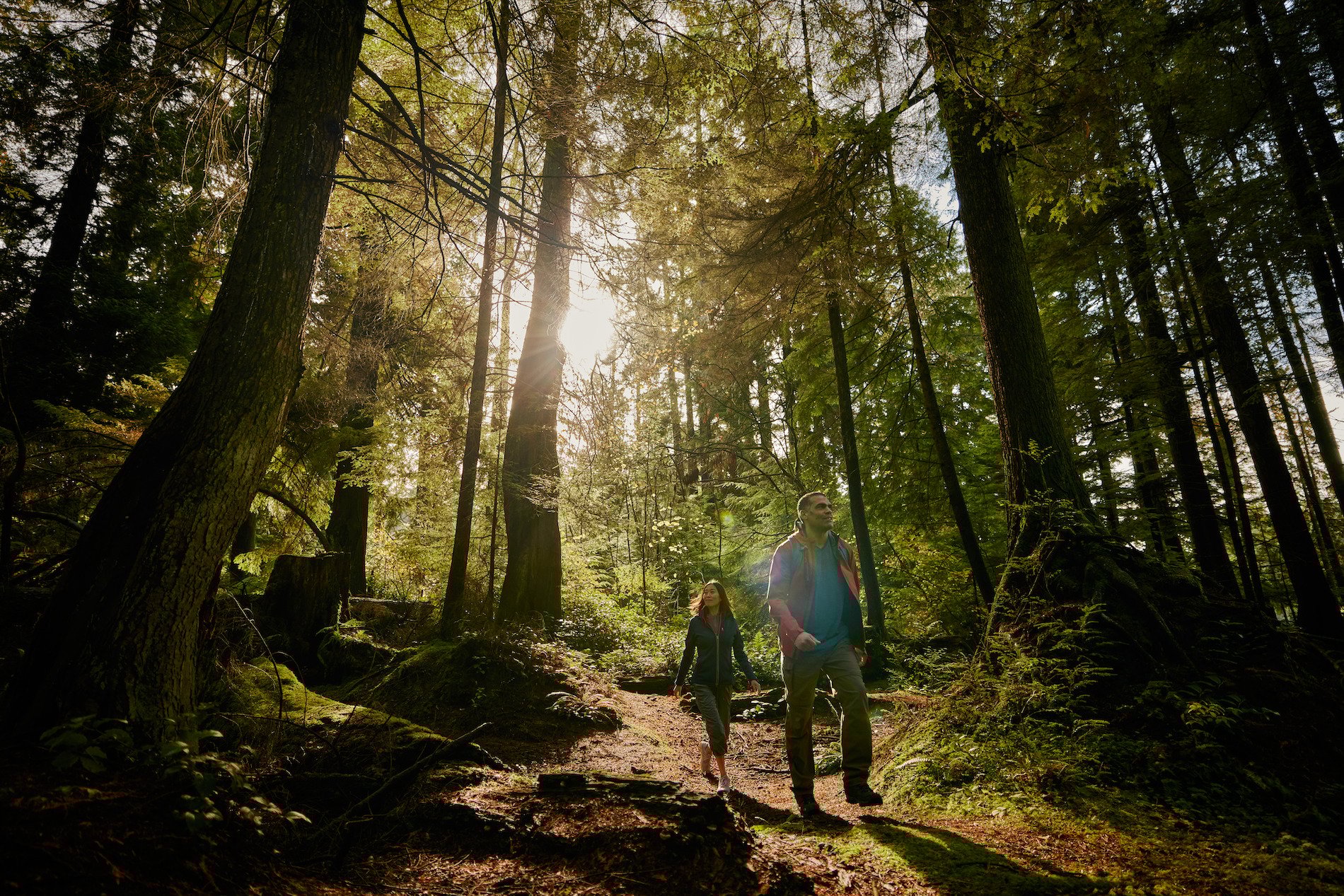People walking in the woods
