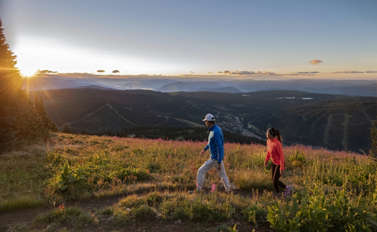 Dos personas hacen senderismo por una pradera alpina.