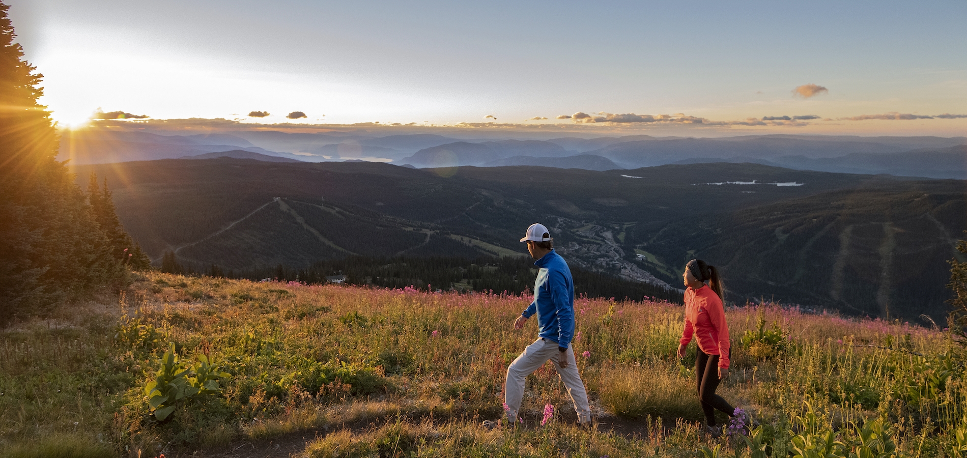 Two people hike through an alpine meadow.
