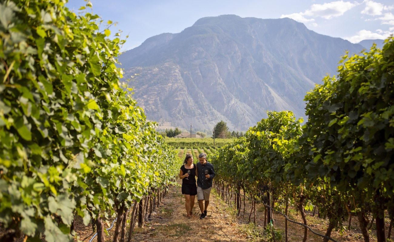 Couple walking through a vineyard in the Similkameen Valley.
