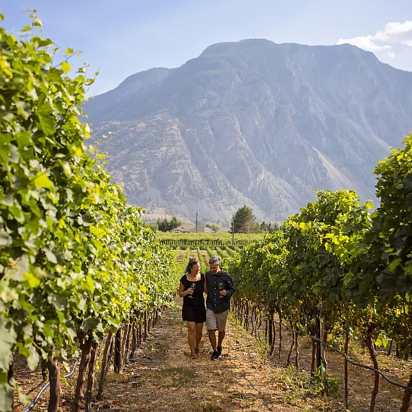 Couple walking through a vineyard in the Similkameen Valley.