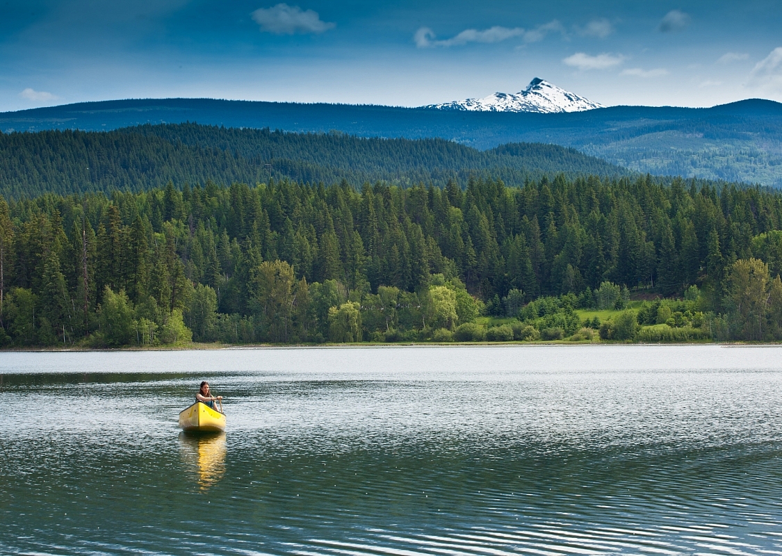 A person paddles a yellow canoe on a calm lake, surrounded by lush green forest and mountains. In the distance, a snow-capped peak rises against a clear blue sky.