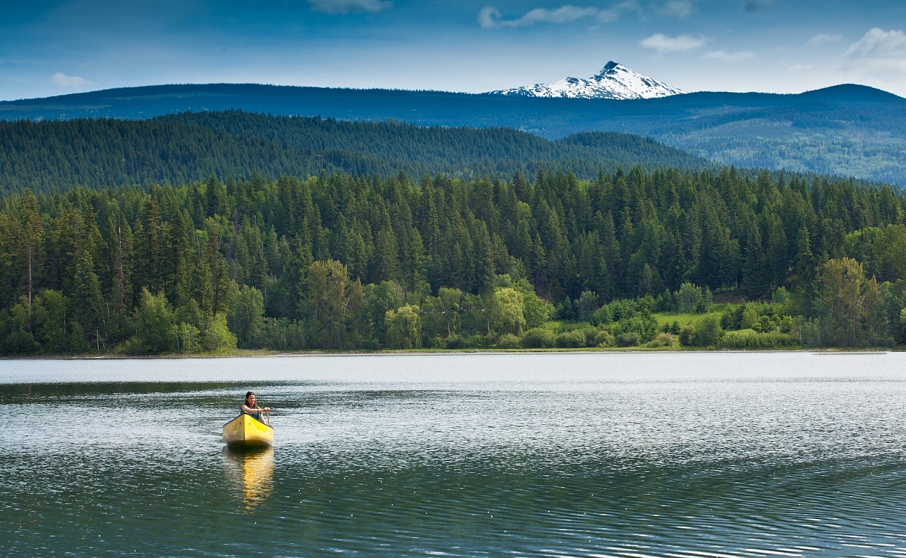 Una persona rema en una canoa amarilla en un lago tranquilo, rodeada de un exuberante bosque verde y montañas. A lo lejos, un pico nevado se eleva contra un cielo azul claro.
