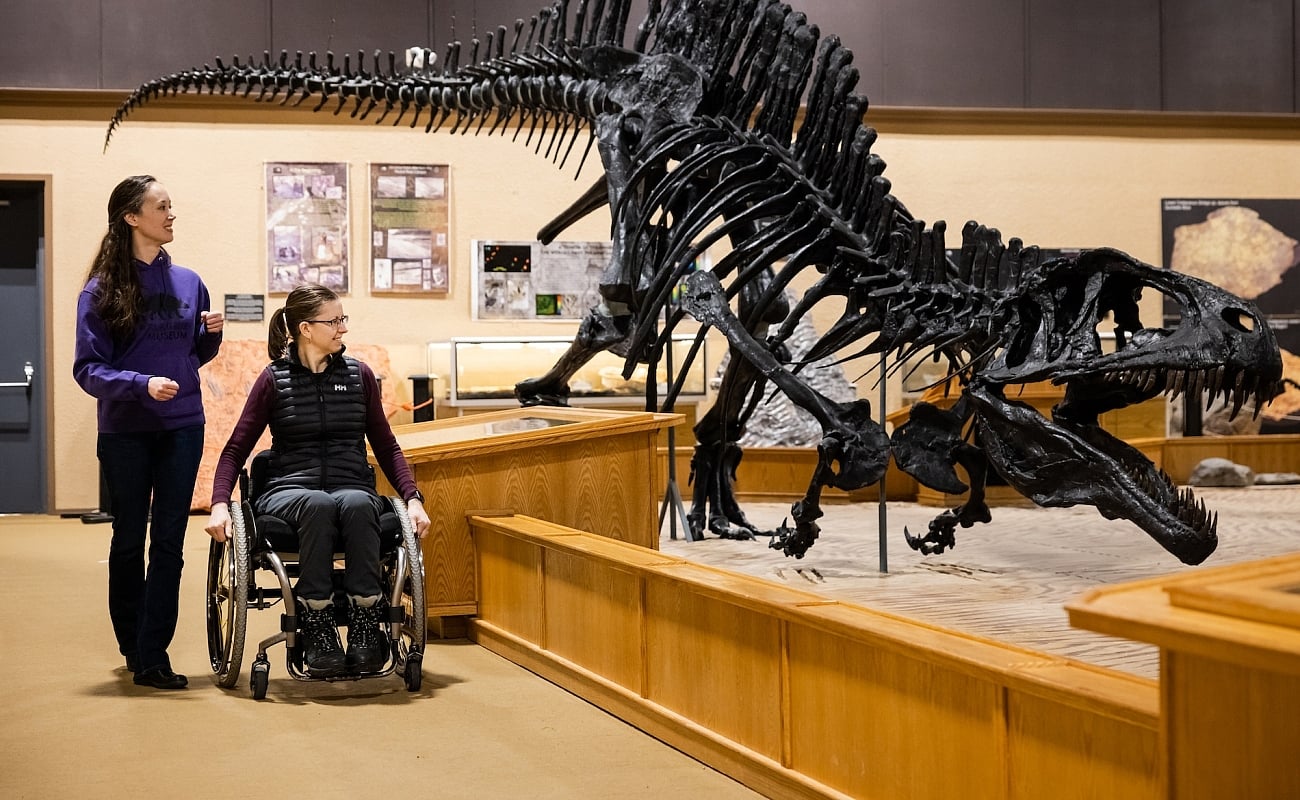 Leute, die sich ein Dinosaurierskelett ansehen