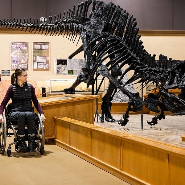 People looking at a dinosaur skeleton