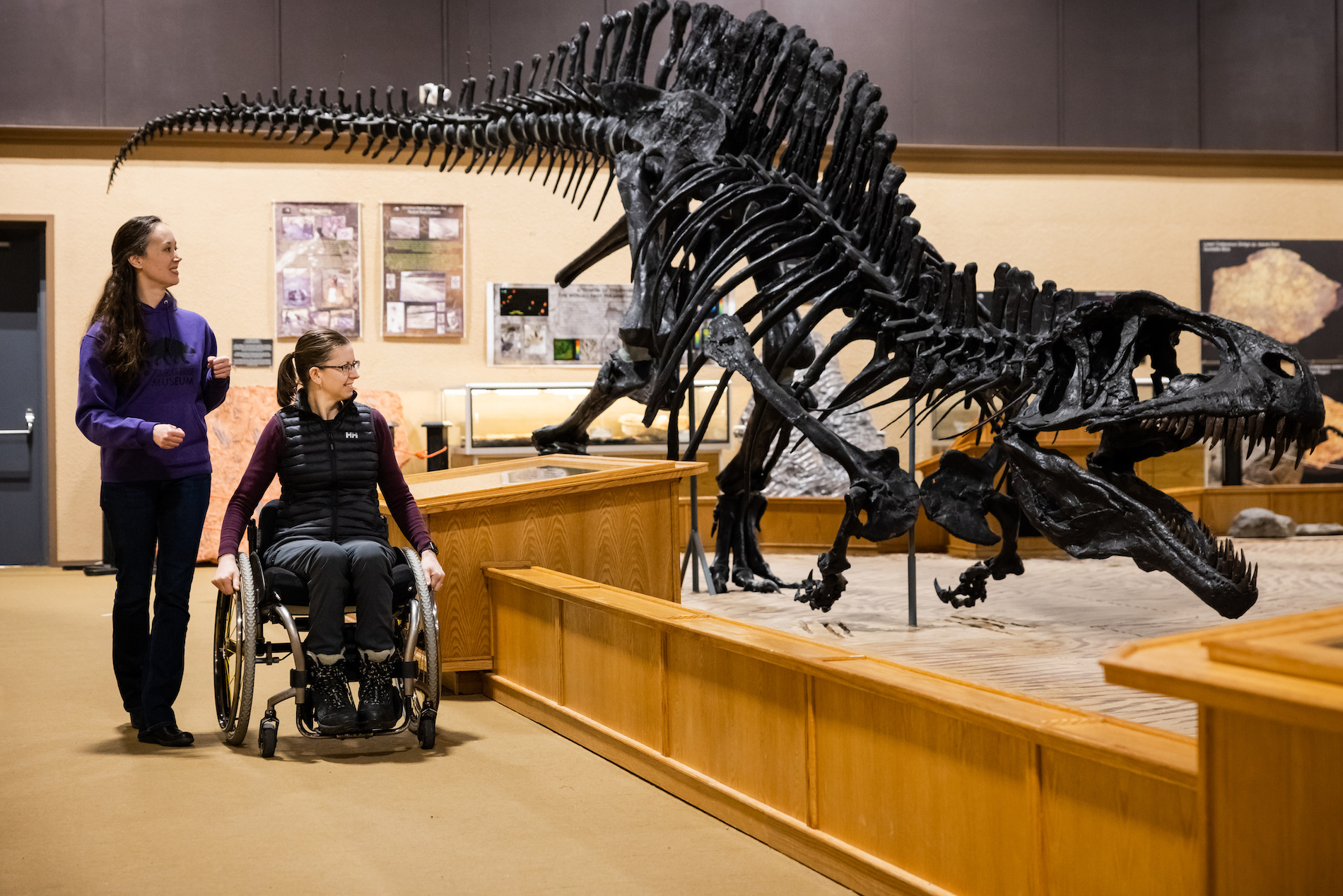 People looking at a dinosaur skeleton