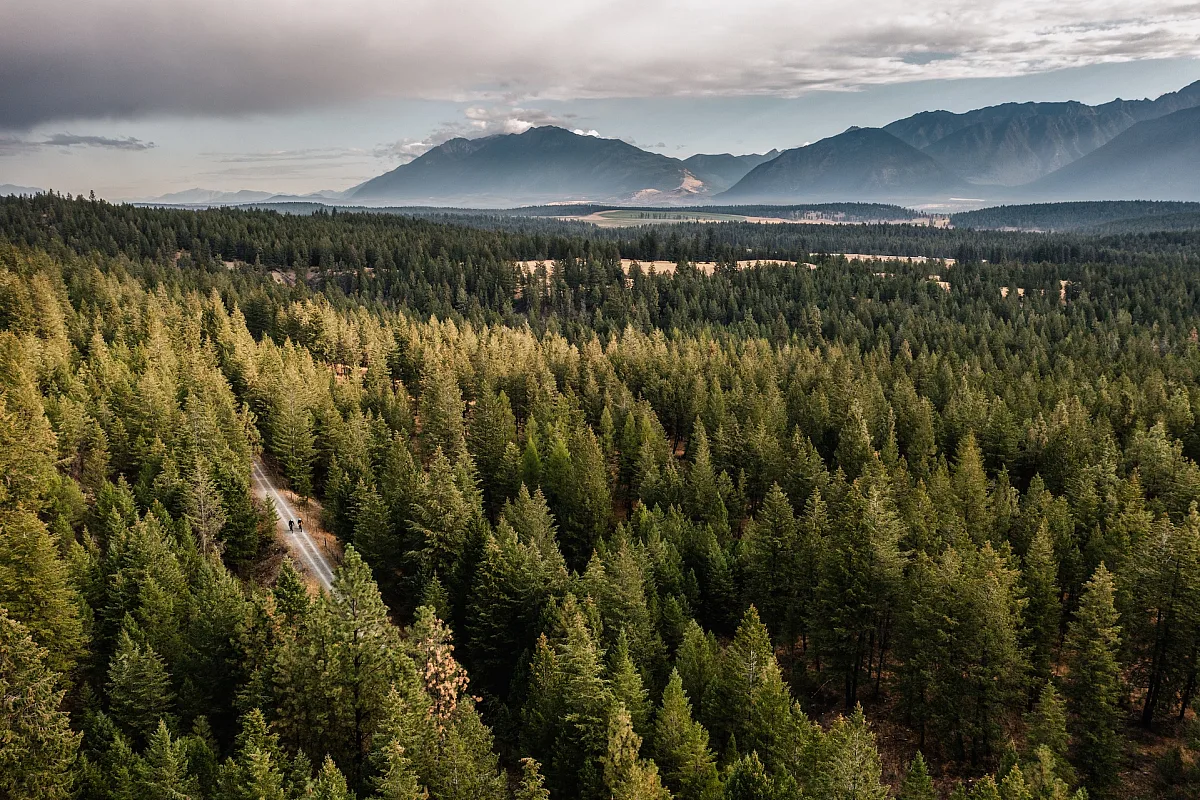 Chief Isadore Trail