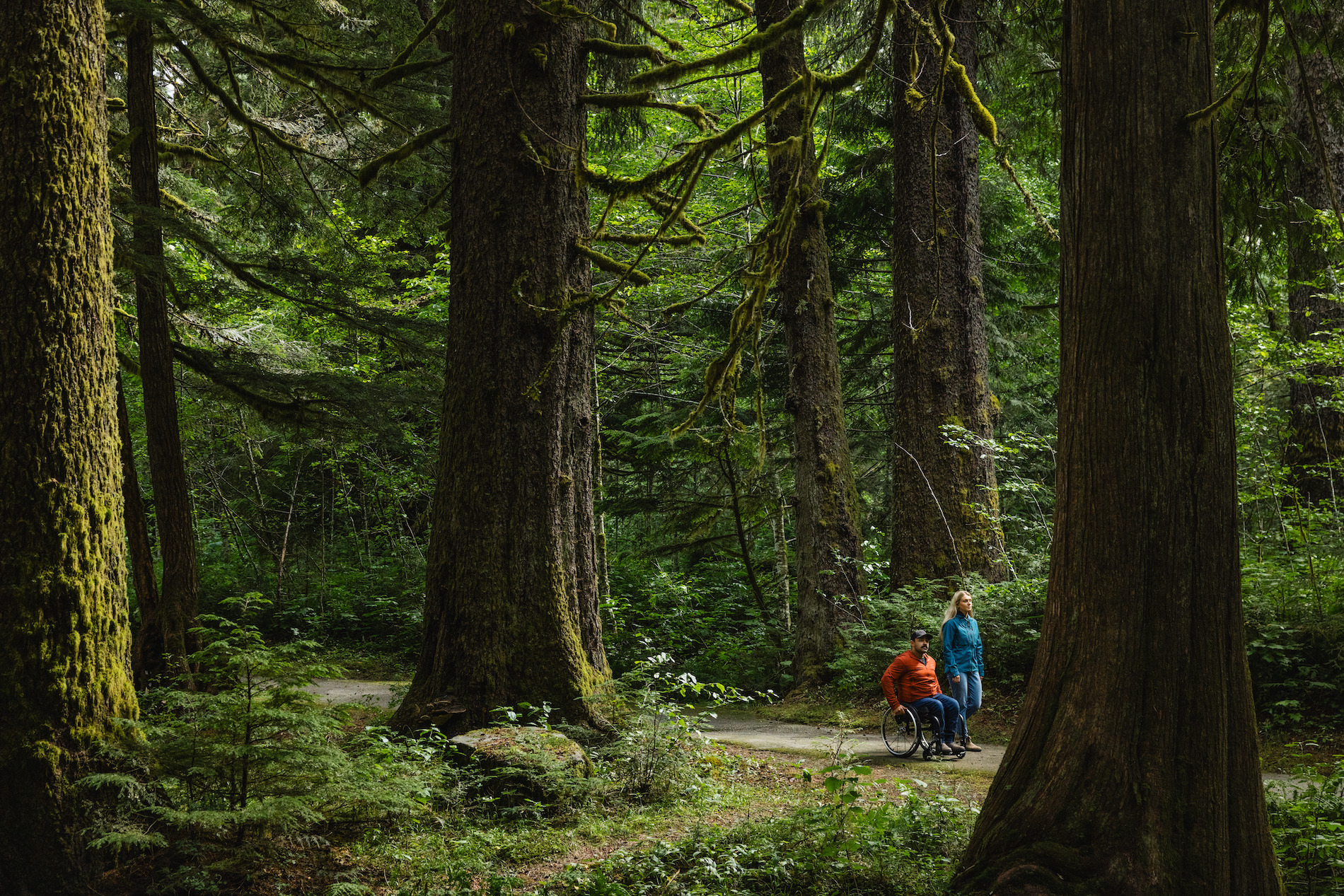 Two people, one walking and one in a wheelchair, make their way through the forest on a lush trail.