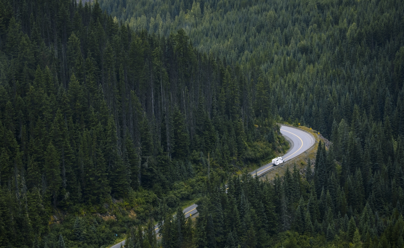 Una carretera serpentea a través de un bosque denso; una casa rodante viaja por la carretera.