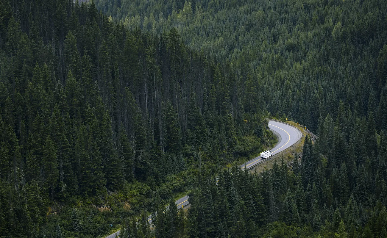 Eine Straße schlängelt sich durch dichten Wald; ein Wohnmobil fährt die Straße entlang.