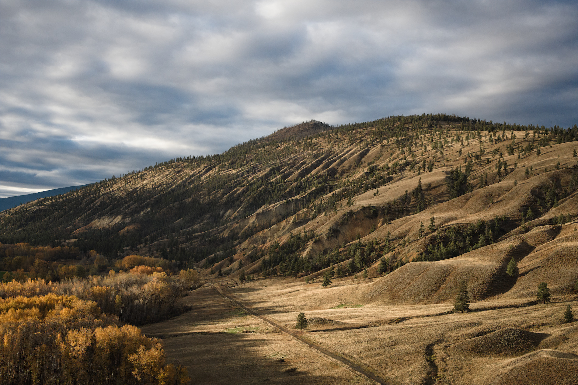 Aerial view of the Painted Hills outside Cache Creek.