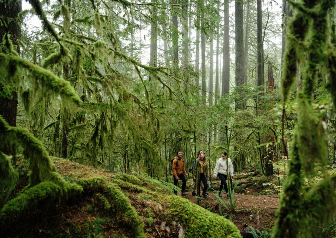 Freund*innen wandern und bewundern die Natur im Lynn Canyon Park.