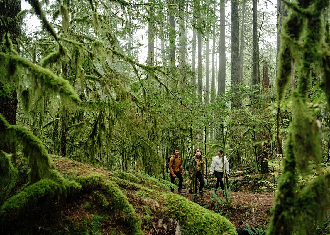 Friends hiking and admiring the natural scenery in Lynn Canyon Park.