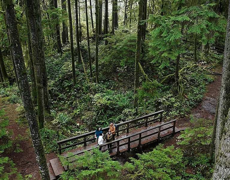 Freund*innen wandern und bewundern die Natur im Lynn Canyon Park.