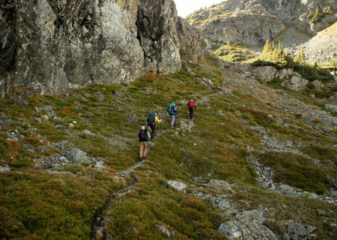 Four hikers walk a marked trail that is dotted by green moss and lichen and surrounded by rocky cliffs and mountains.