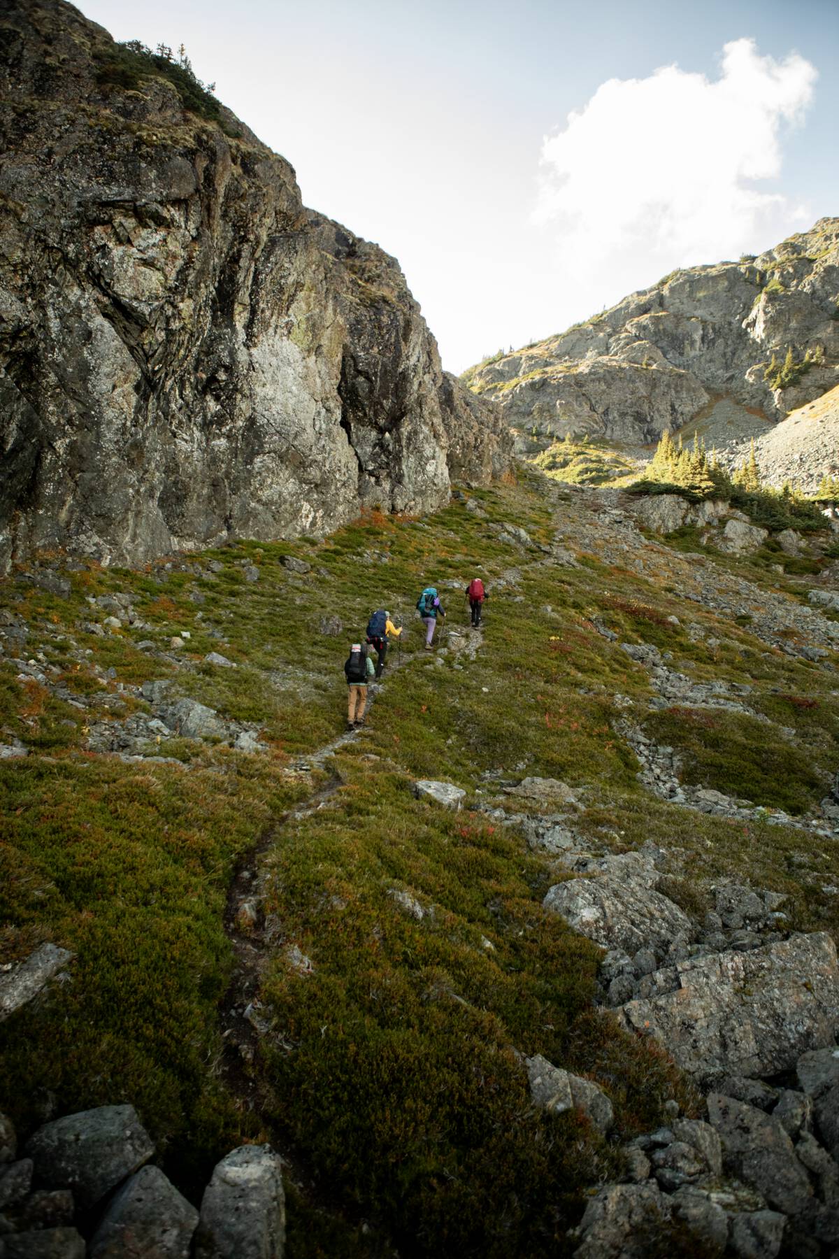 Four hikers walk a marked trail that is dotted by green moss and lichen and surrounded by rocky cliffs and mountains.