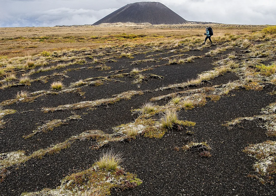A person with an overnight hiking backpack walks along a seemingly lunar landscape with lime green foliage growing from black rock and a volanic cone in the background.
