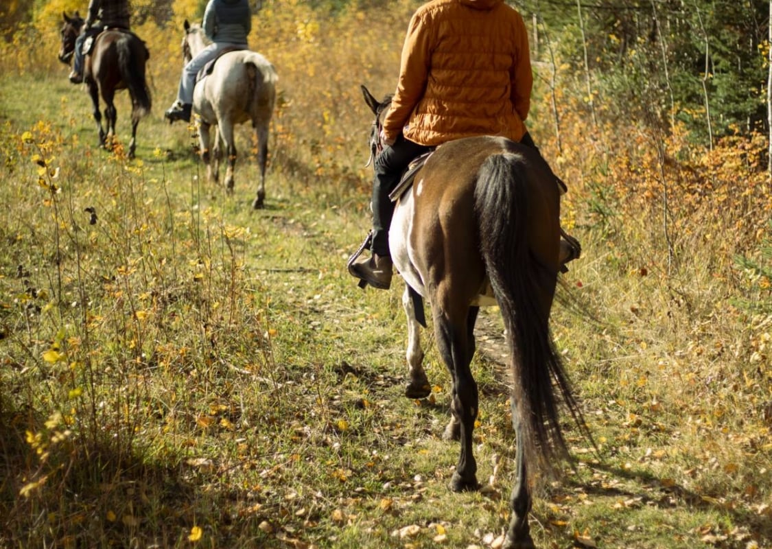 Three people on horseback ride along a trail.