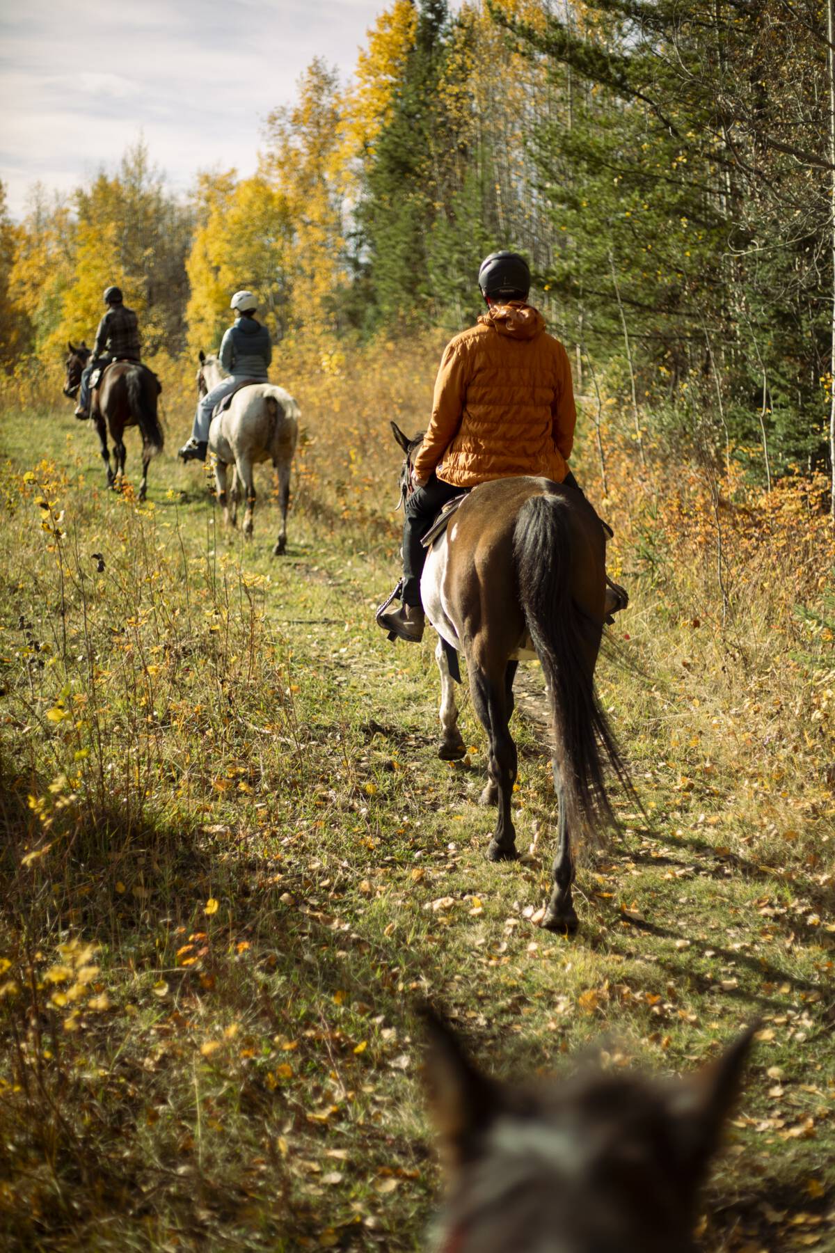 Three people on horseback ride along a trail.