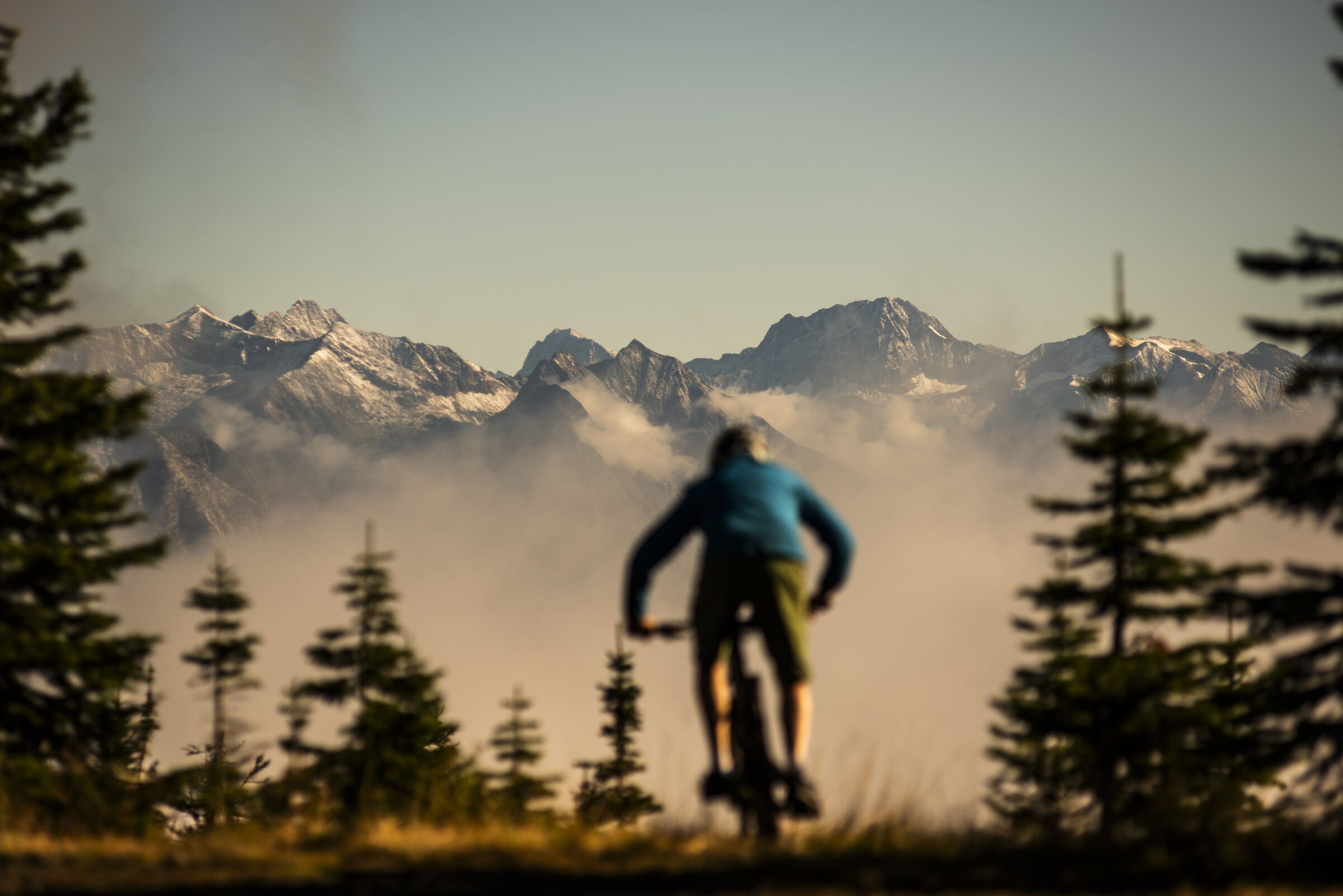 A mountain biker riding along the Friendly Giant Trail in Kaslo with mountains in the distance.