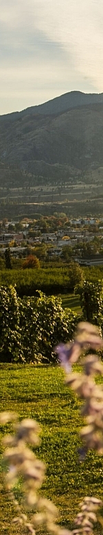 Family and friends dining outdoors at Poplar Grove Winery in Penticton with Okanagan Lake in the background.
