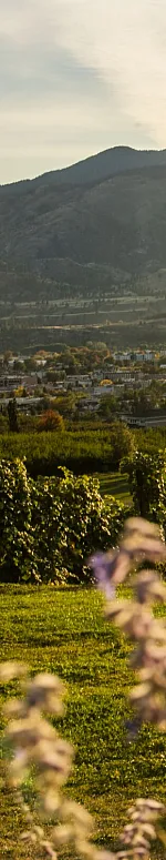 Family and friends dining outdoors at Poplar Grove Winery in Penticton with Okanagan Lake in the background.