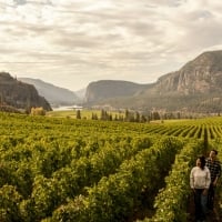 A couple walking through the vineyard at Blue Mountain Vineyard and Cellars in Okanagan Falls.