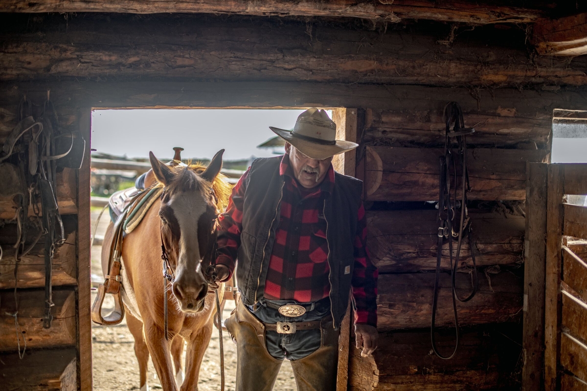 Un vaquero experimentado llevando un caballo al establo en Flying U Ranch, el rancho para huéspedes más antiguo de Canadá, en 70 Mile House.
