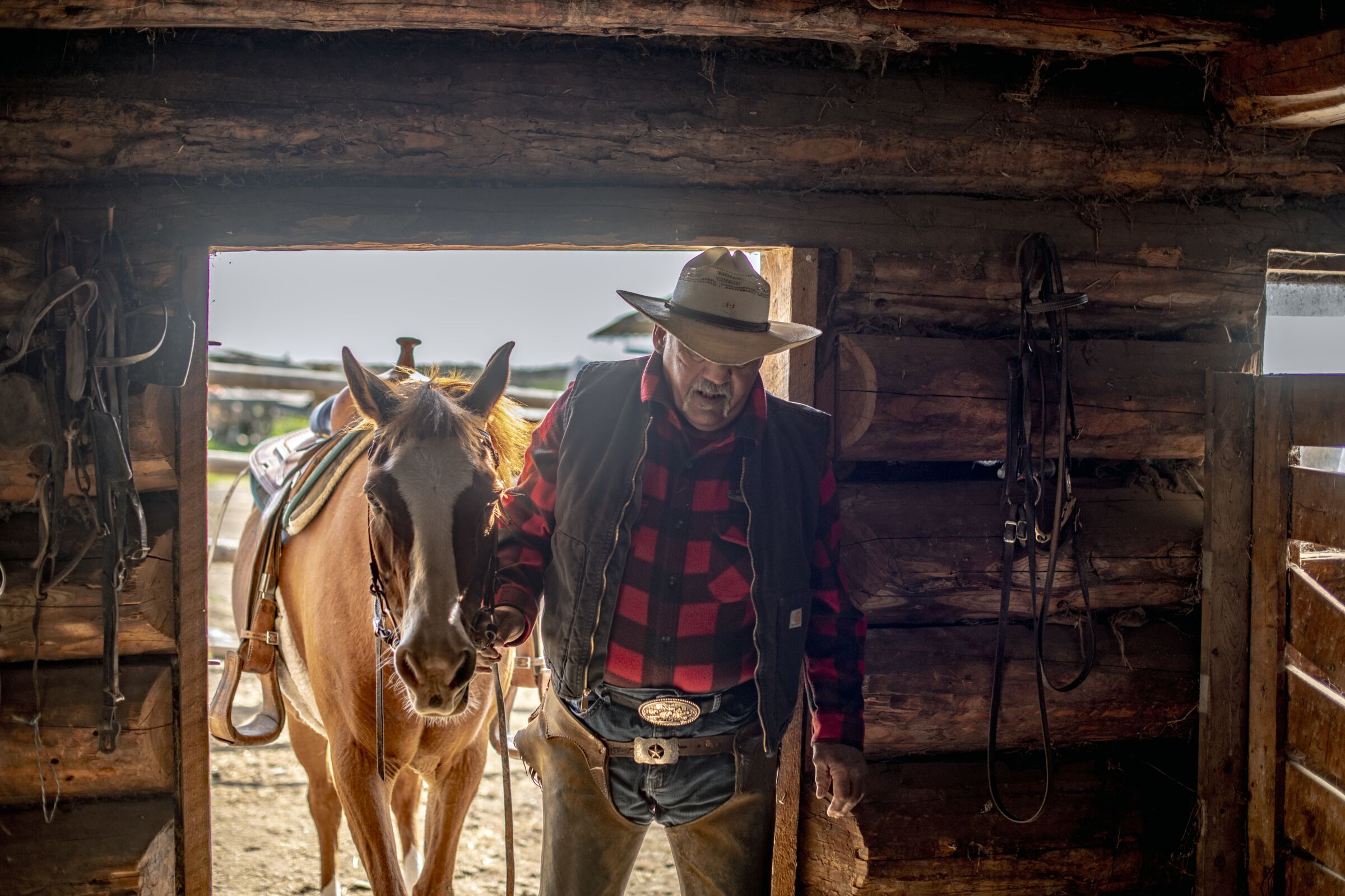 A senior wrangler bringing a horse into the barn at Flying U Ranch, Canada's oldest guest ranch, in 70 Mile House.