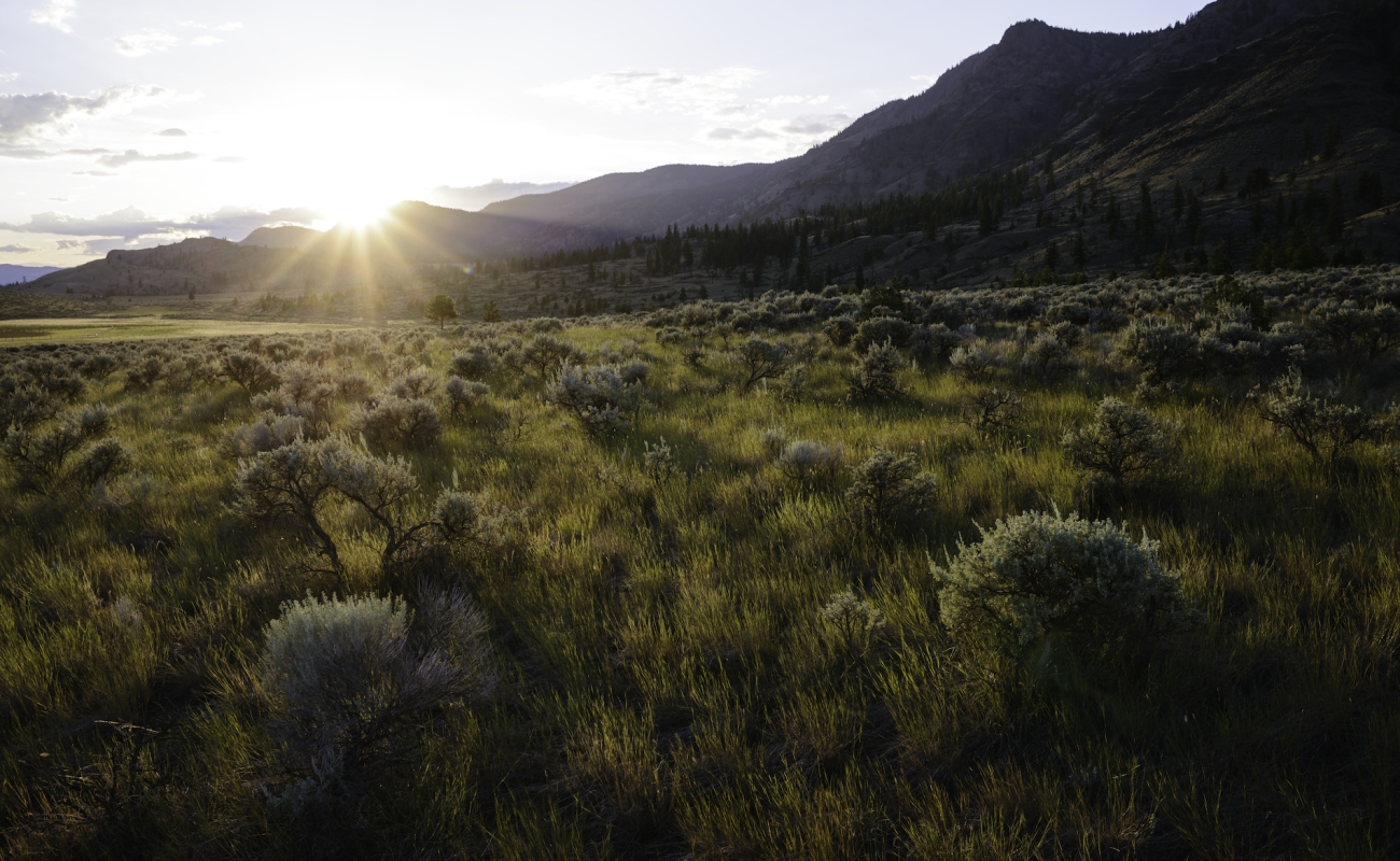El sol poniéndose detrás de montañas distantes sobre una extensa pradera.