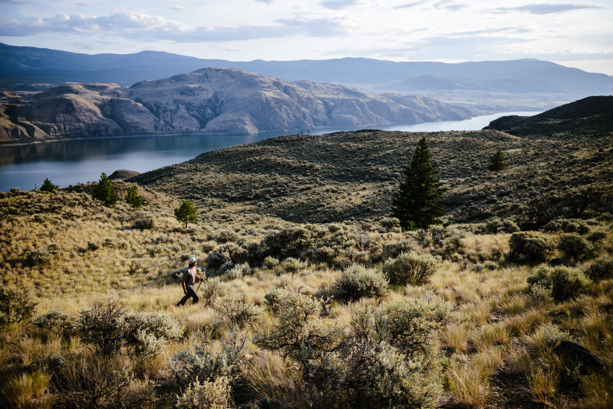 A man is walking in the Lac du Bois grasslands on a clear day. Behind him is a view over the lake and surrounding hills.